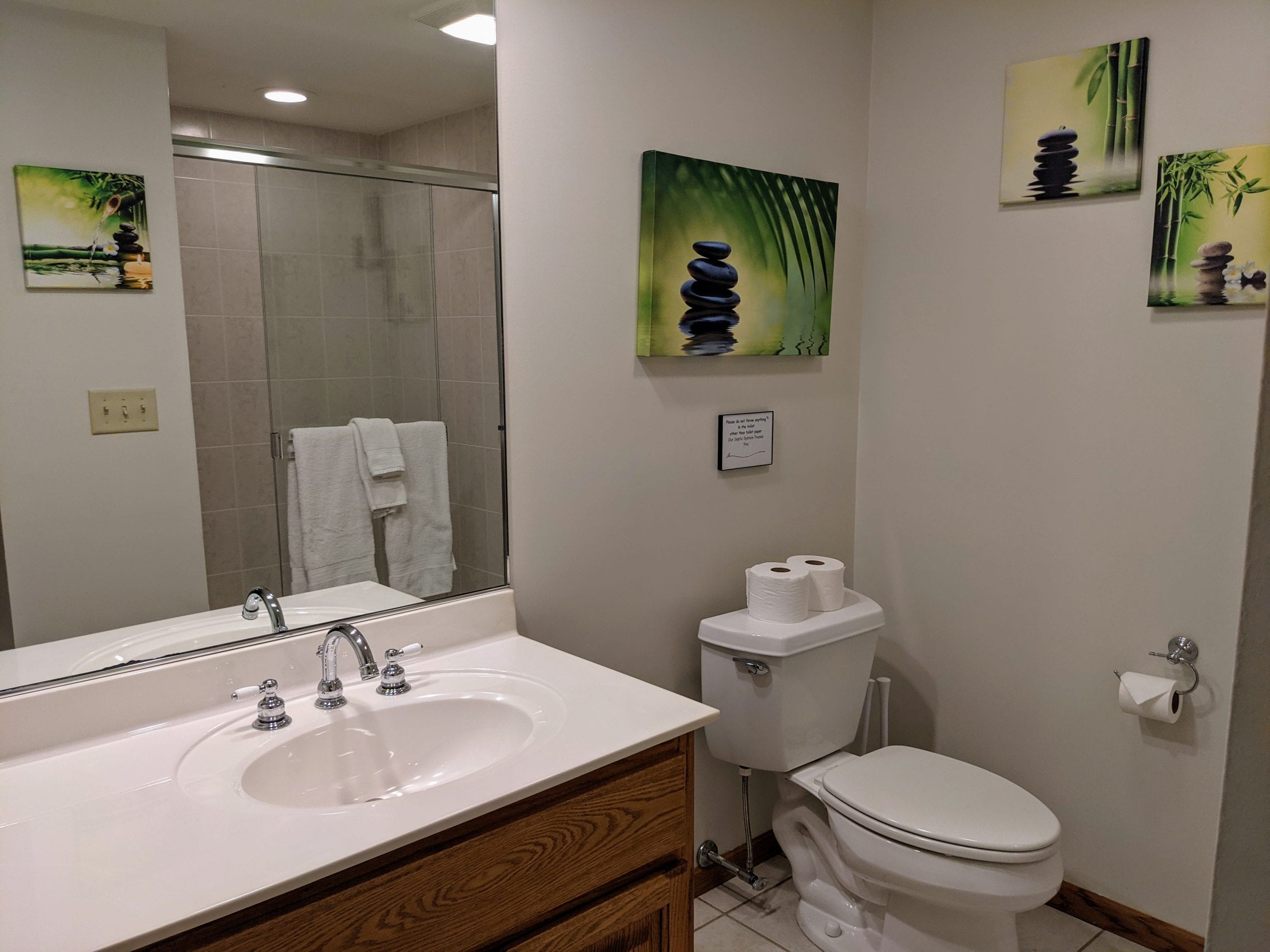 Lower level common area bathroom